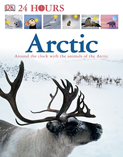 Arctic (24 Hours)