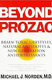 Beyond Prozac: Antidotes for Modern Times