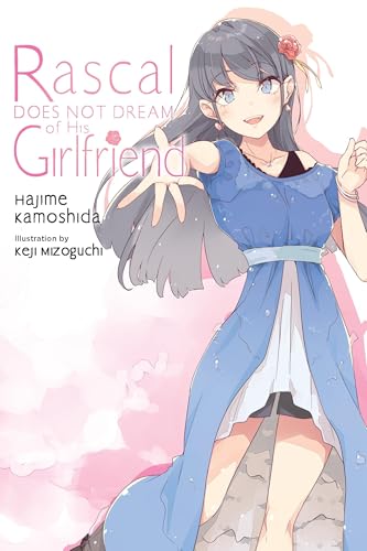 Rascal Does Not Dream of His Girlfriend (light novel) (Volume 14) (Rascal Does Not Dream (light novel), 14)