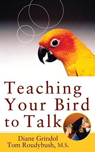 Teaching Your Bird to Talk