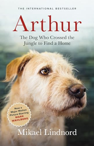 Arthur: The Dog who Crossed the Jungle to Find a Home