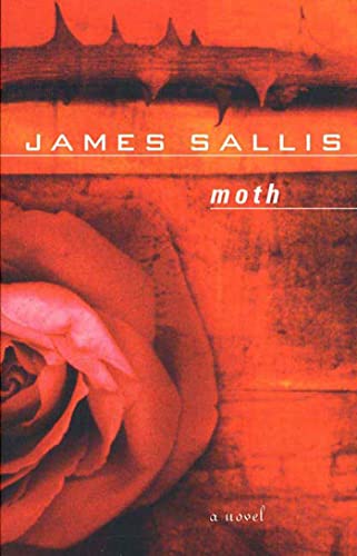 Moth (A Lew Griffin Mystery)