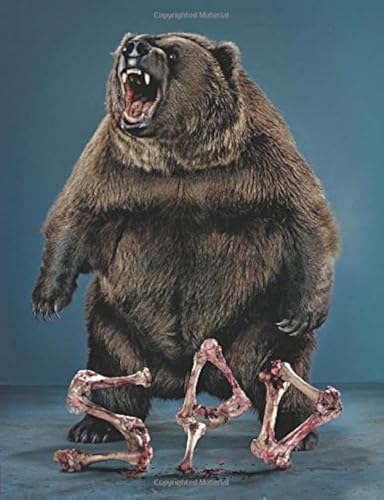 42nd Publication Design Annual