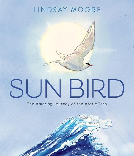 Sun Bird: The Amazing Journey of the Arctic Tern Told in Beautifully Rendered Watercolor Paintings Bring the Arctic Tern's Journey to Life