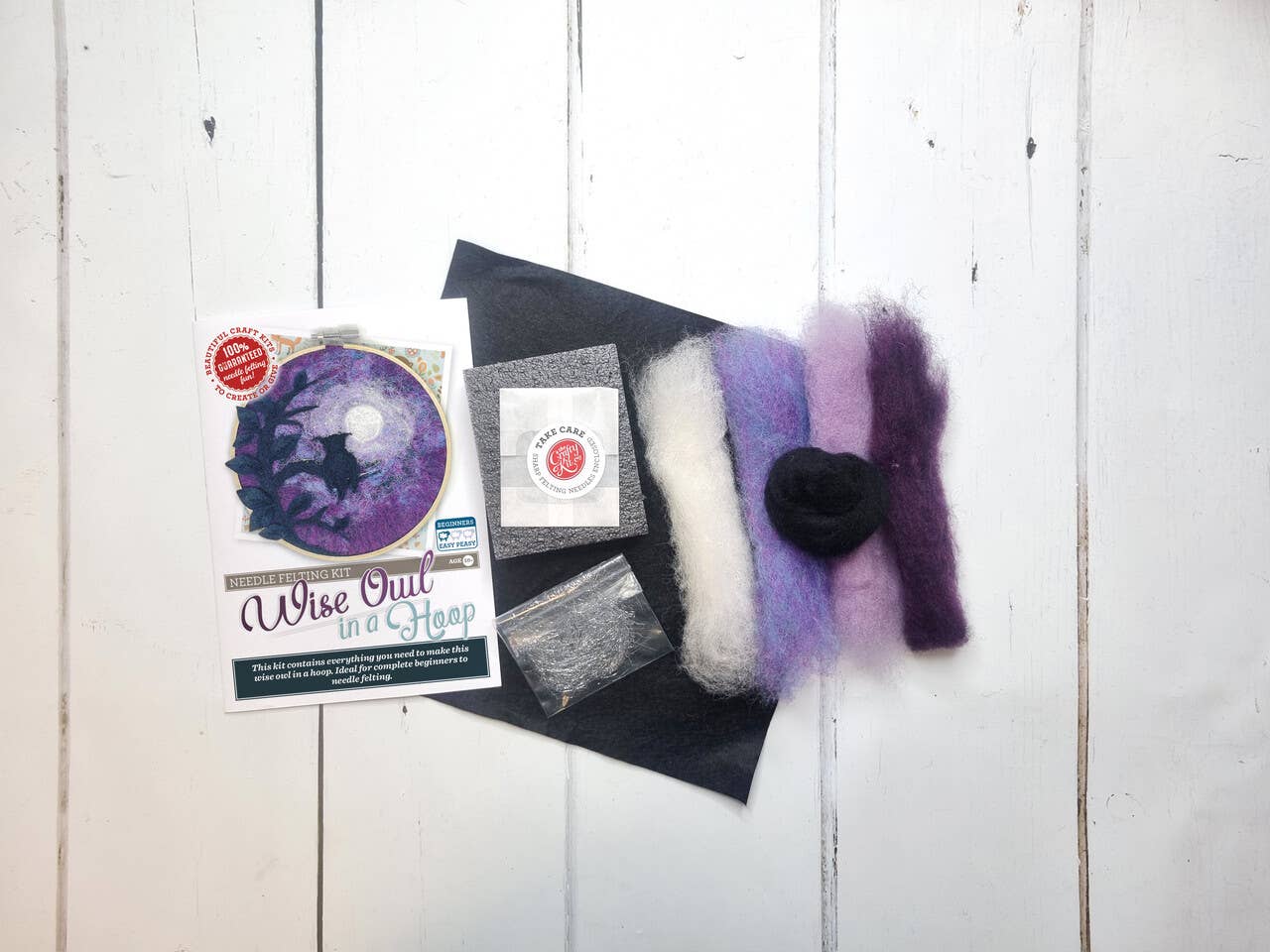 The Crafty Kit Company: Paint with Wool: Wise Old Owl in a Hoop Needle Felt Craft Kit