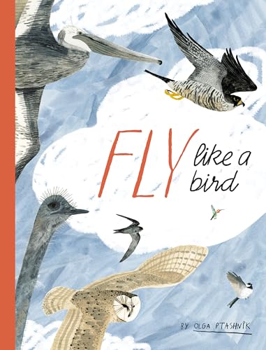 Fly Like a Bird (Spectacular STEAM for Curious Readers (SSCR))