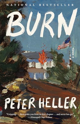 Burn: A Novel (Vintage Contemporaries)