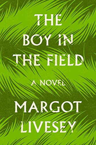 The Boy in the Field: A Novel