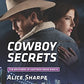 Cowboy Secrets (The Brothers of Hastings Ridge Ranch, 3)