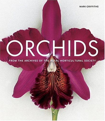 Orchids