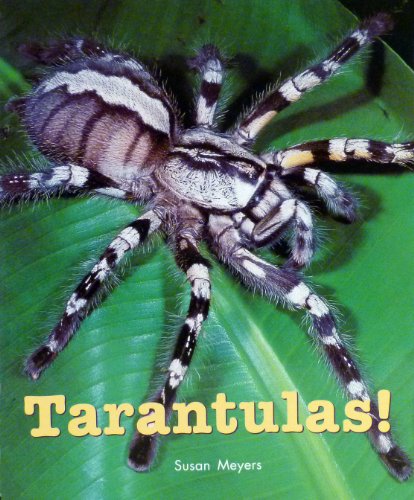 Rigby on Our Way to English: Leveled Reader Grade 2 (Level K) Tarantulas! (On Our Way English)