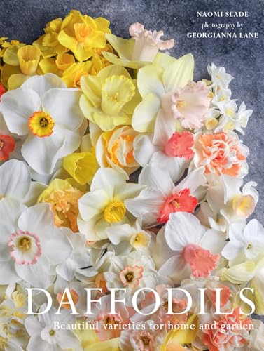 Daffodils: Beautiful Varieties for Home and Garden