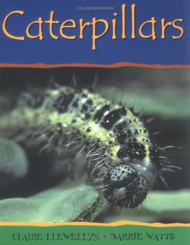 Caterpillars (Mimibeasts)