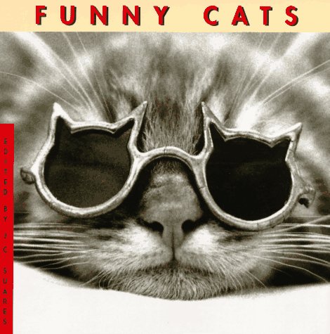 Funny cats