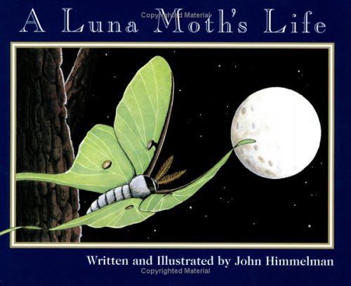 A Luna Moth's Life (Nature Upclose)
