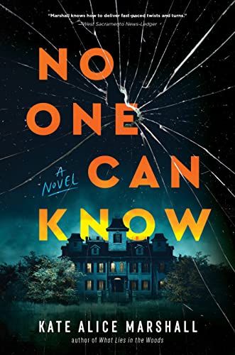 No One Can Know: A Novel