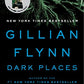 Dark Places: A Novel