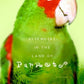 Elsewhere In the Land of Parrots