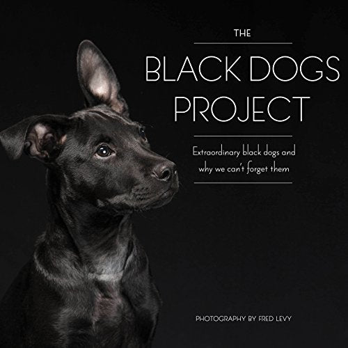 The Black Dogs Project: Extraordinary Black Dogs and Why We Can't Forget Them