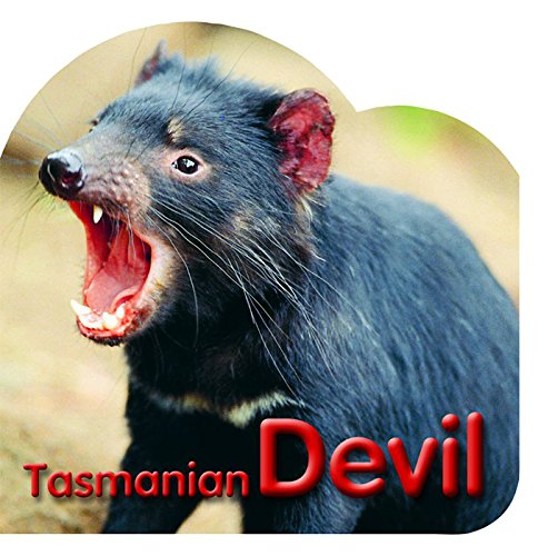 Tasmanian Devil [Board book]