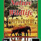 Nature and Wildlife Photography