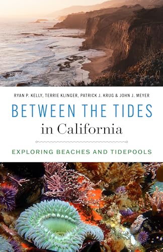 Between the Tides in California: Exploring Beaches and Tidepools