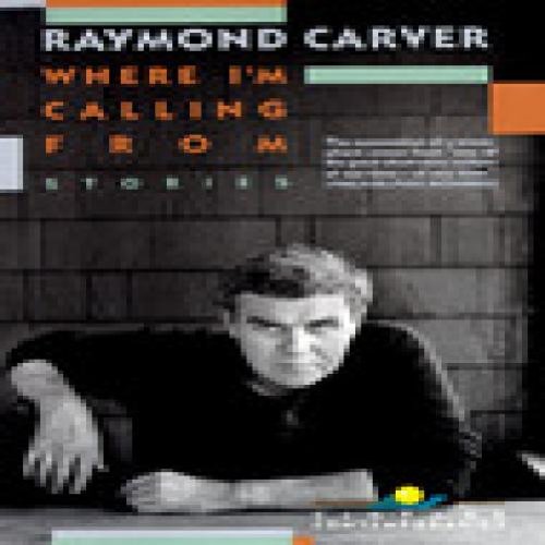 Where I'm Calling From: Selected Stories