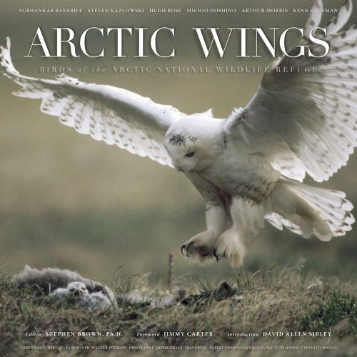 Arctic Wings: Birds of the Arctic National Wildlife Refuge