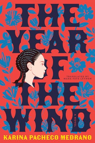 The Year of the Wind: A Novel
