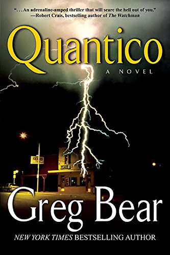 Quantico: A Novel