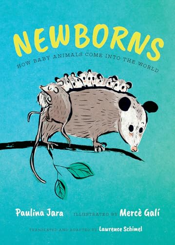 Newborns: How Baby Animals Come Into the World