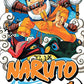 Naruto, Vol. 1: The Tests of the Ninja