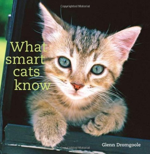 What Smart Cats Know