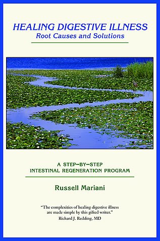 Healing Digestive Illness: Root Causes and Solutions