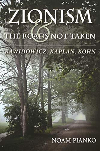 Zionism and the Roads Not Taken: Rawidowicz, Kaplan, Kohn (The Modern Jewish Experience)