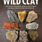 Wild Clay: Creating ceramics and glazes from natural and found resources