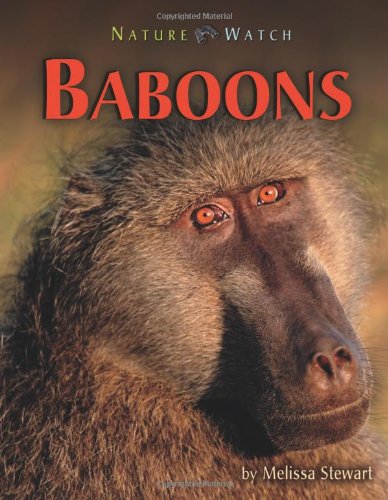 Baboons (Nature Watch)