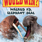 Walrus vs. Elephant Seal (Who Would Win?) (25)