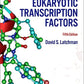 Eukaryotic Transcription Factors