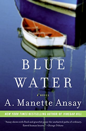 Blue Water: A Novel
