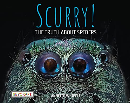 Scurry! The Truth About Spiders| Full of Fun Facts, Photographs, Illustrations, & All Your Questions Answered | Reading Age 7-10 | Grade Level 2-3 | Nonfiction Science & Nature | Reycraft Books