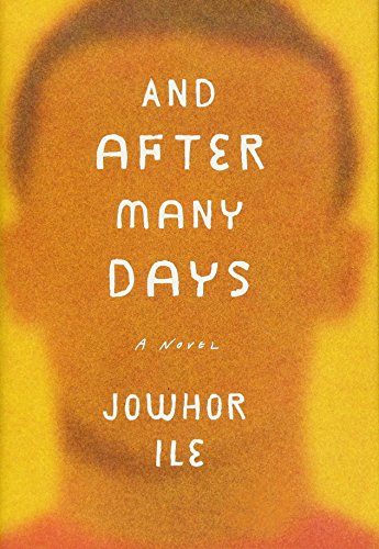 And After Many Days: A Novel