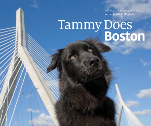 Tammy Does Boston