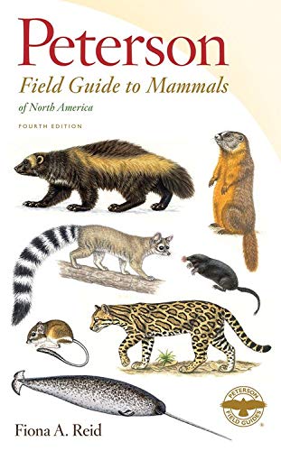 Peterson Field Guide to Mammals of North America: Fourth Edition (Peterson Field Guides)