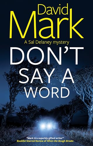 Don't Say a Word (A Sal Delaney mystery)