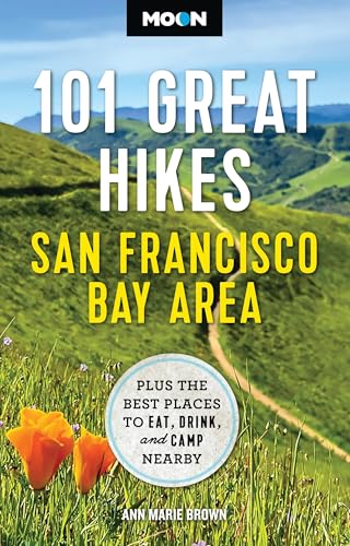 Il futuro che vogliamo: Le proposte dei giovani per L'Ulivo (Futura) (Italian Edition)