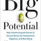 Big Potential: How Transforming the Pursuit of Success Raises Our Achievement, Happiness, and Well-Being