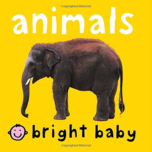 Bright Baby Animals