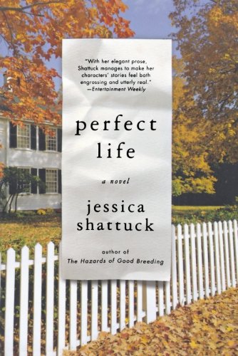 Perfect Life: A Novel