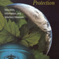 New Tools for Environmental Protection: Education, Information, and Voluntary Measures